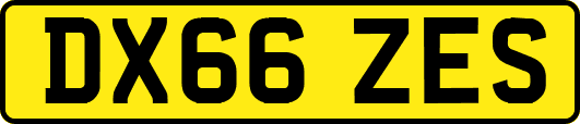 DX66ZES