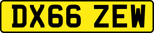 DX66ZEW