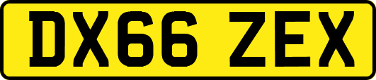 DX66ZEX