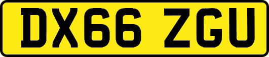 DX66ZGU