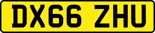DX66ZHU