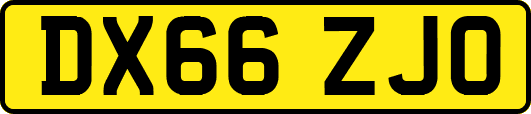 DX66ZJO