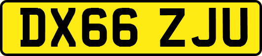 DX66ZJU