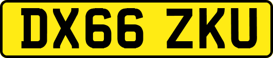 DX66ZKU