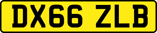 DX66ZLB