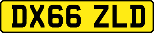 DX66ZLD