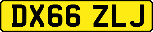 DX66ZLJ