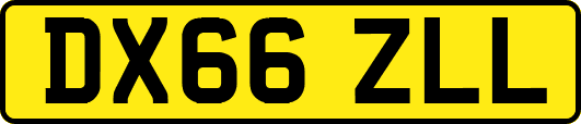 DX66ZLL