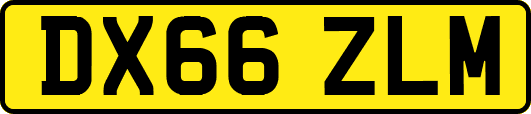 DX66ZLM