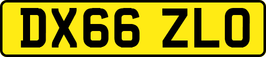 DX66ZLO
