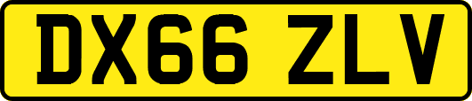 DX66ZLV
