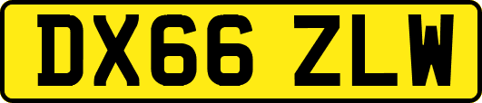 DX66ZLW