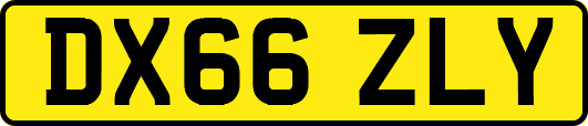 DX66ZLY