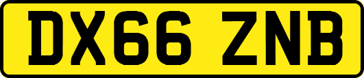 DX66ZNB