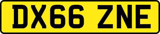 DX66ZNE