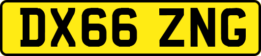 DX66ZNG