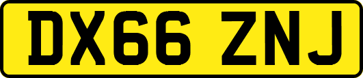DX66ZNJ