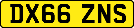 DX66ZNS