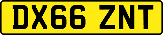 DX66ZNT
