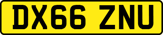 DX66ZNU