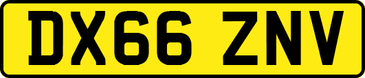 DX66ZNV