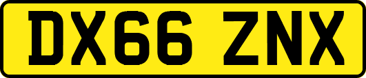 DX66ZNX