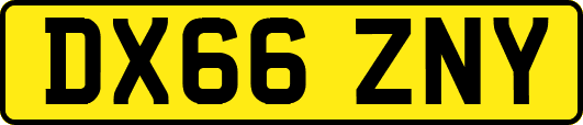 DX66ZNY