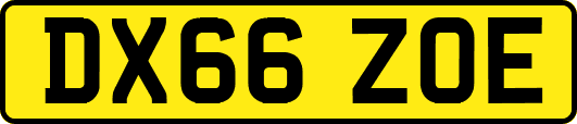 DX66ZOE