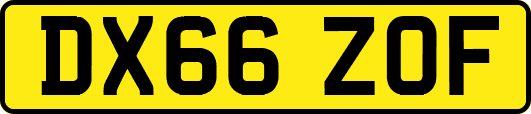 DX66ZOF