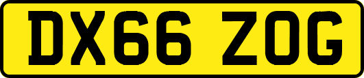 DX66ZOG