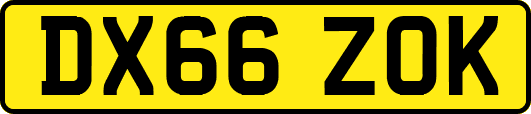 DX66ZOK