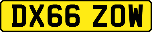 DX66ZOW