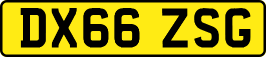 DX66ZSG