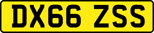 DX66ZSS
