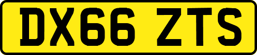 DX66ZTS