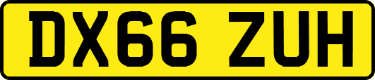 DX66ZUH