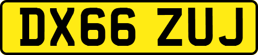 DX66ZUJ