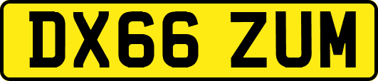 DX66ZUM