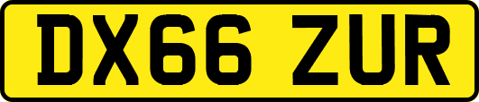 DX66ZUR