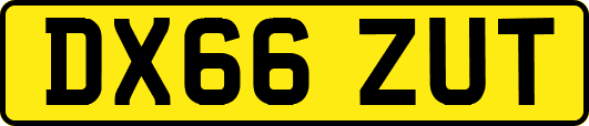 DX66ZUT