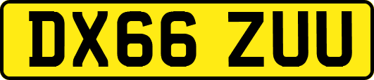DX66ZUU