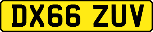 DX66ZUV