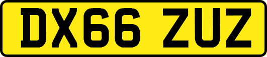 DX66ZUZ