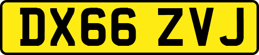 DX66ZVJ