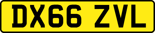 DX66ZVL