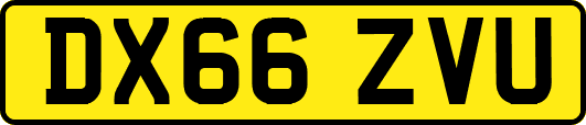 DX66ZVU