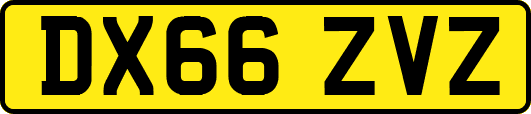 DX66ZVZ