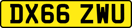 DX66ZWU