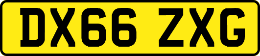 DX66ZXG