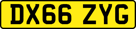 DX66ZYG